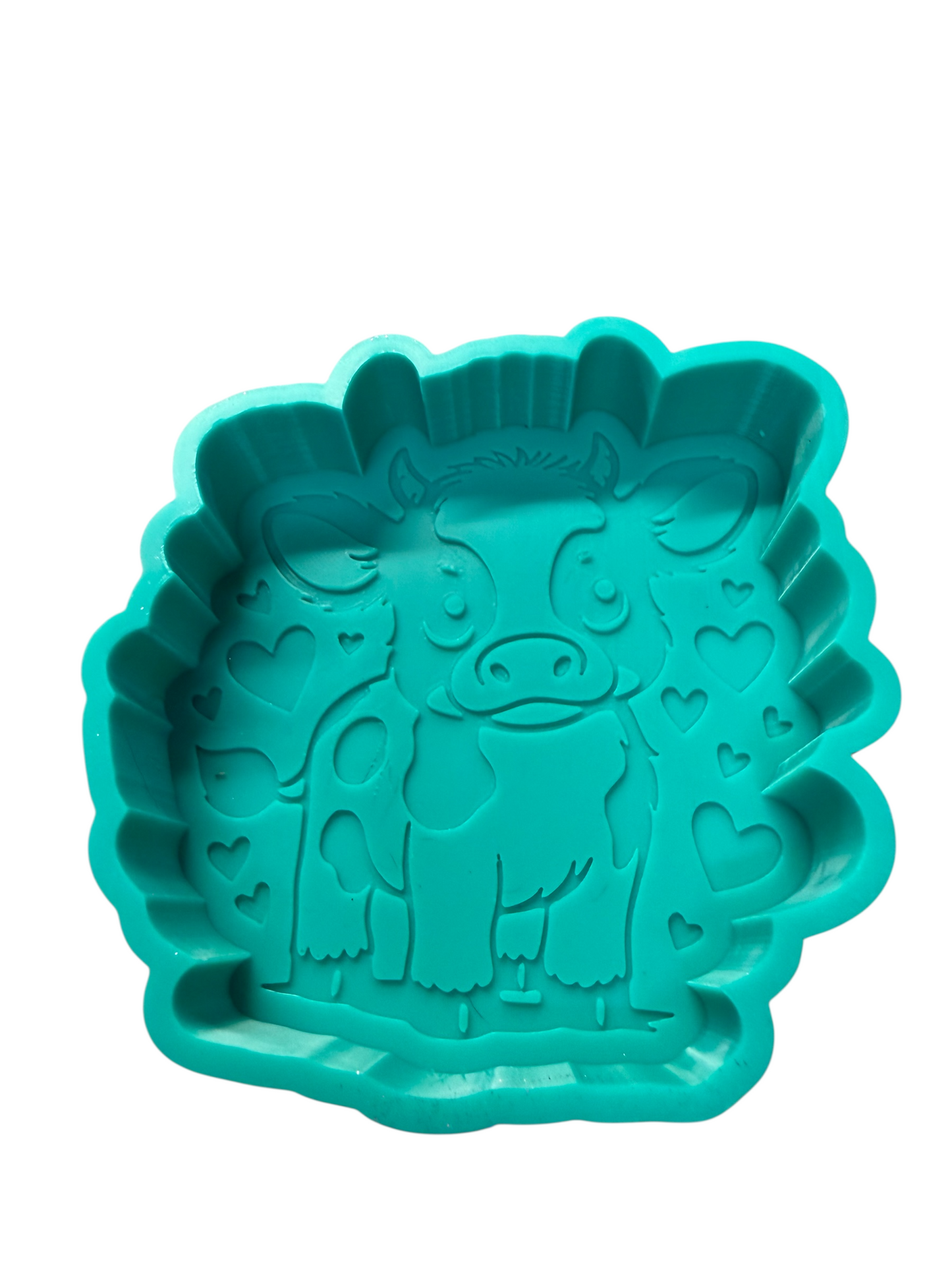 ￼ all the molds are in here