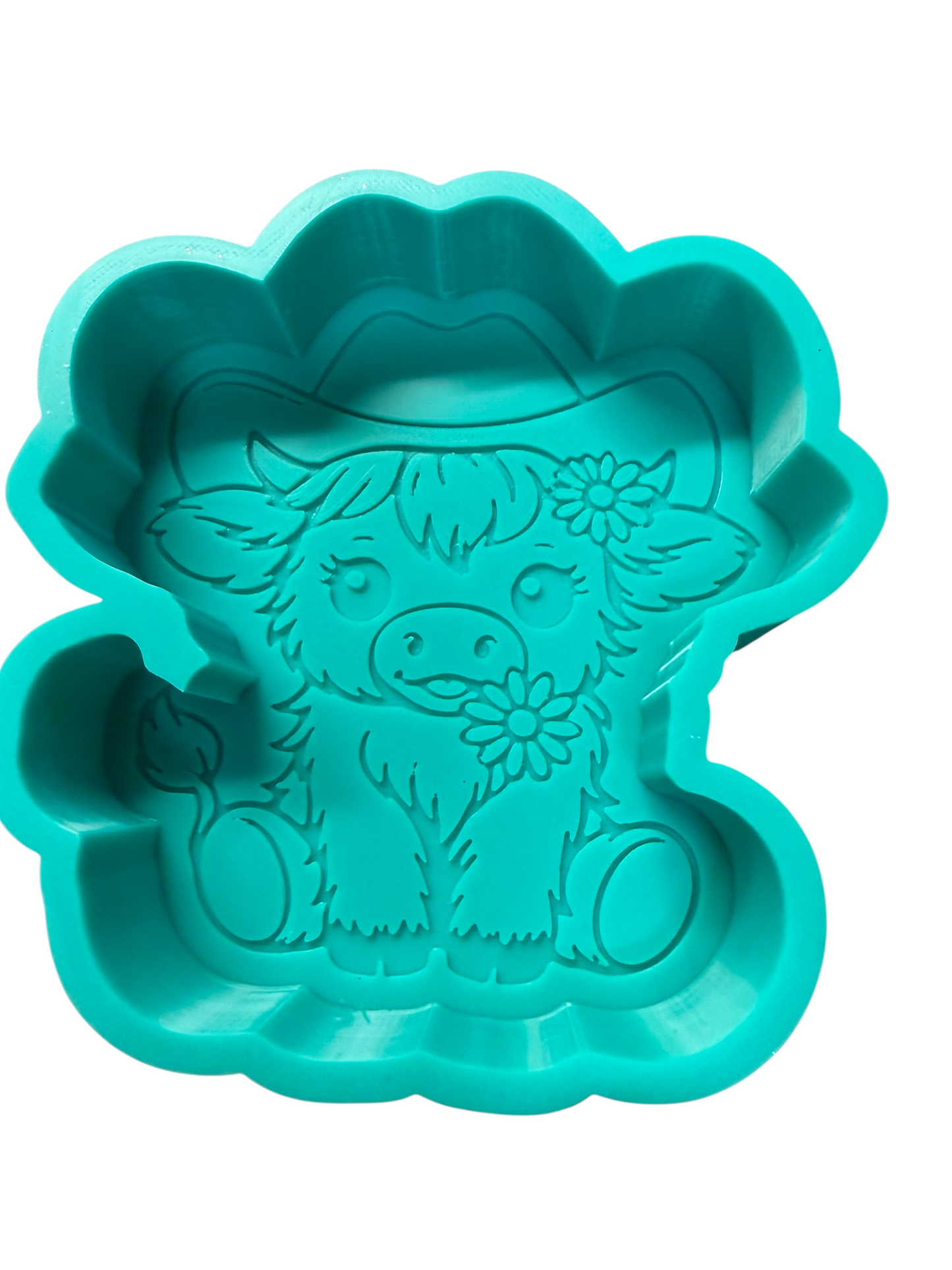 ￼ all the molds are in here